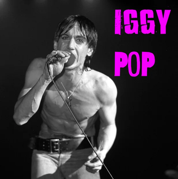 Iggy Pop live